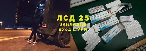 прущие грибы Абаза