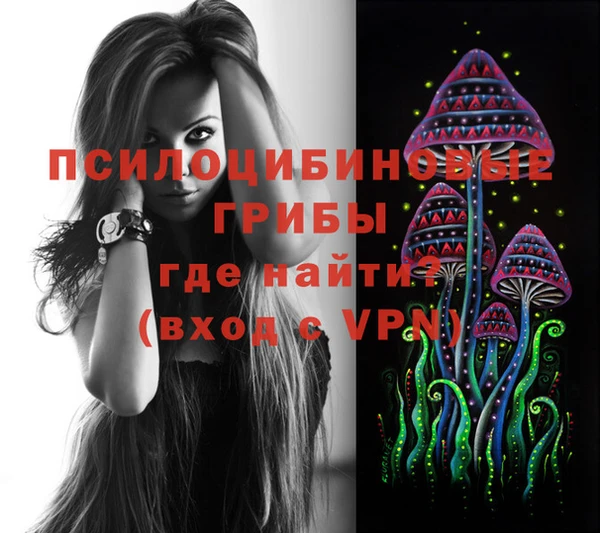 спайс Алексеевка