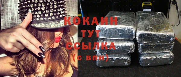 прущие грибы Абаза