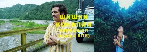 прущие грибы Абаза