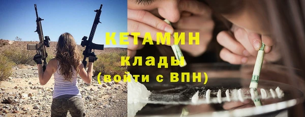 прущие грибы Абаза