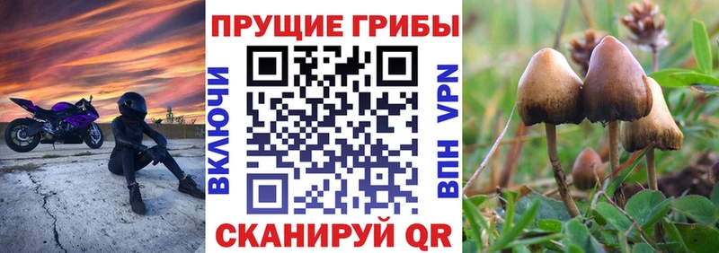 Галлюциногенные грибы MAGIC MUSHROOMS  хочу   Симферополь 